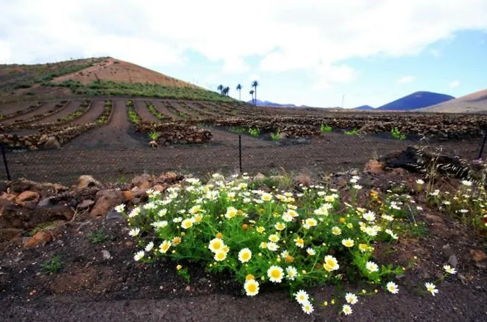 Aloelux !! - Private With Pool , Jacuzzi, Cinema, Massage ,wonderful View, Art Desing *